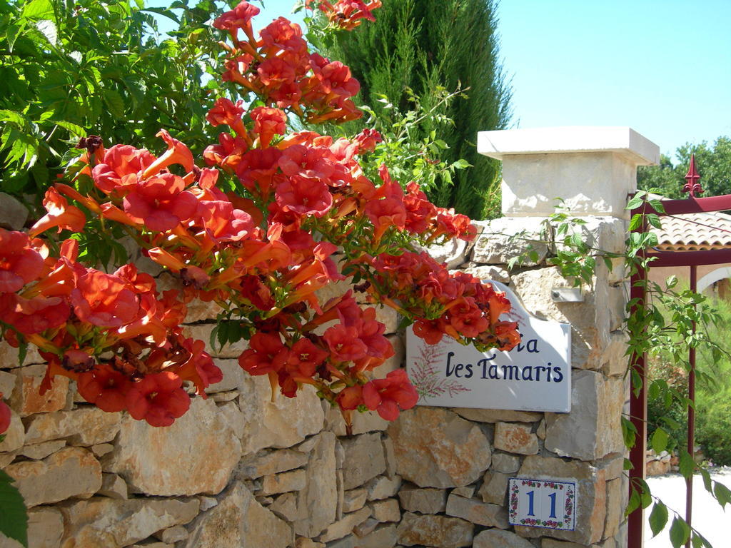 B&B Villa Les Tamaris Régusse Esterno foto